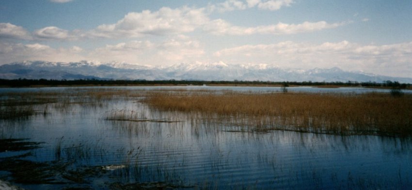 Lake Skadar in Montenegro