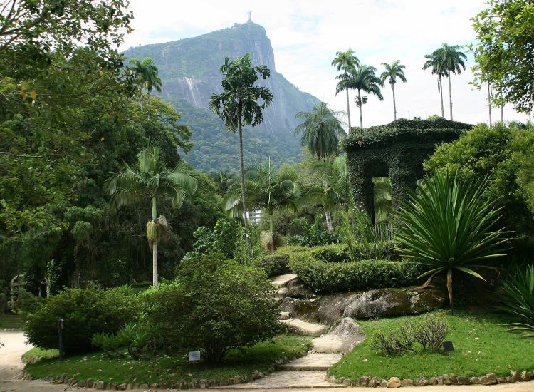 Botanic gardens in Rio de Janeiro