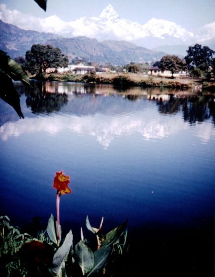 Macchapucchre ( Fishtail Mountain ) from Phewa Tal in Pokhara