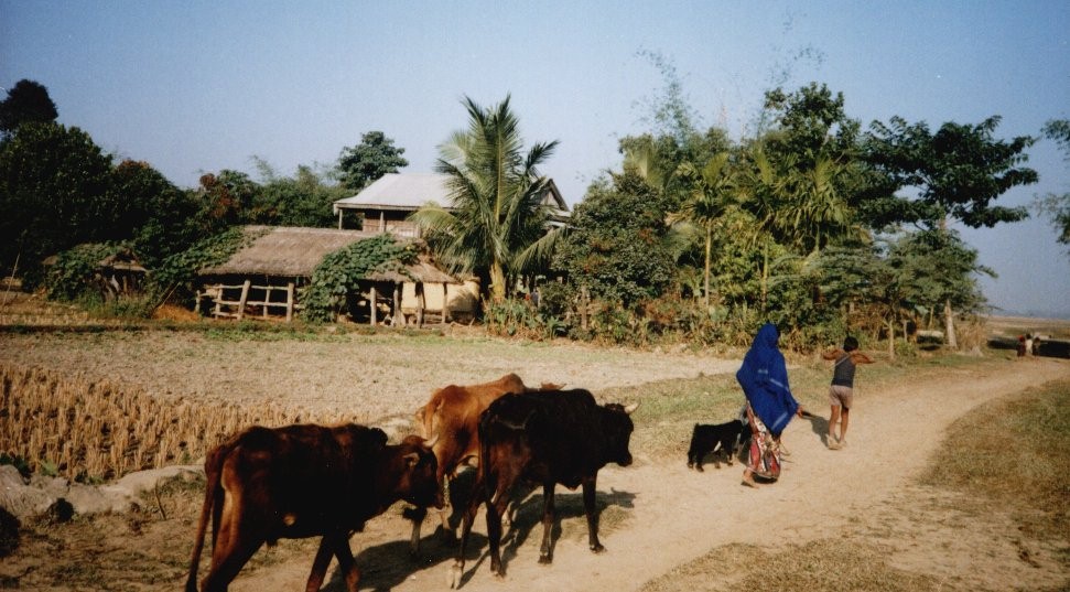 Farm in Terai