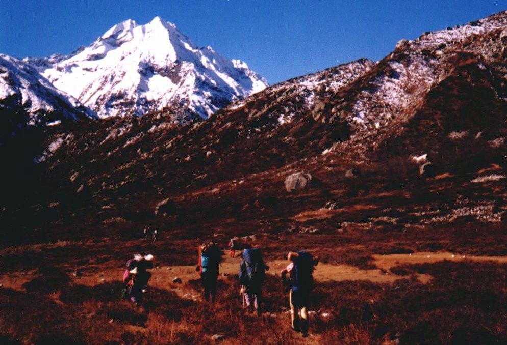 Pangen Dobku in the Langtang Himal from Langshisa Kharka