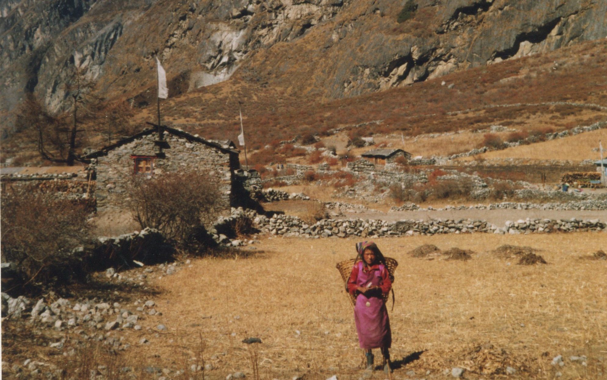 Sherpani ( Sherpa girl / woman ) in Langtang Valley of the Nepal Himalaya