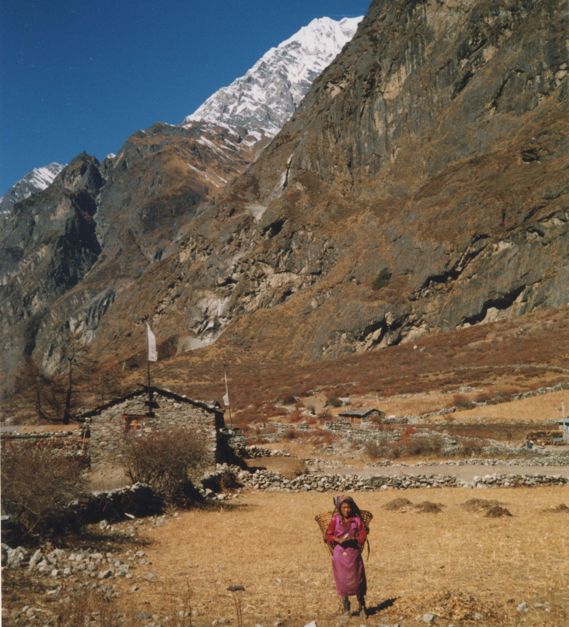 Sherpani ( Sherpa girl / woman ) in Langtang Valley of the Nepal Himalaya