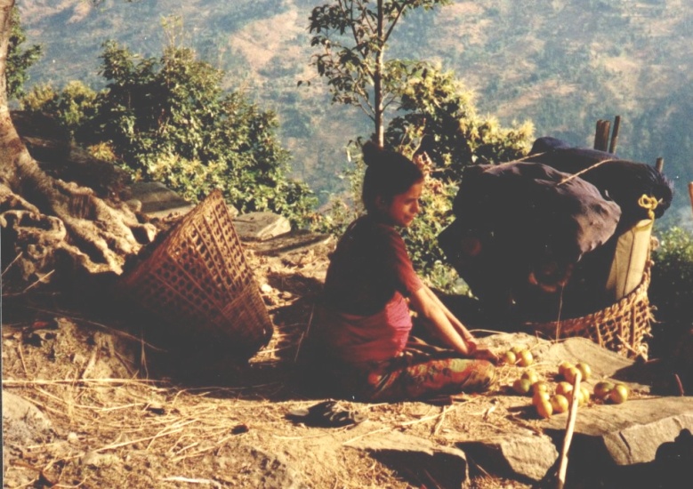 Nepalese woman selling oranges