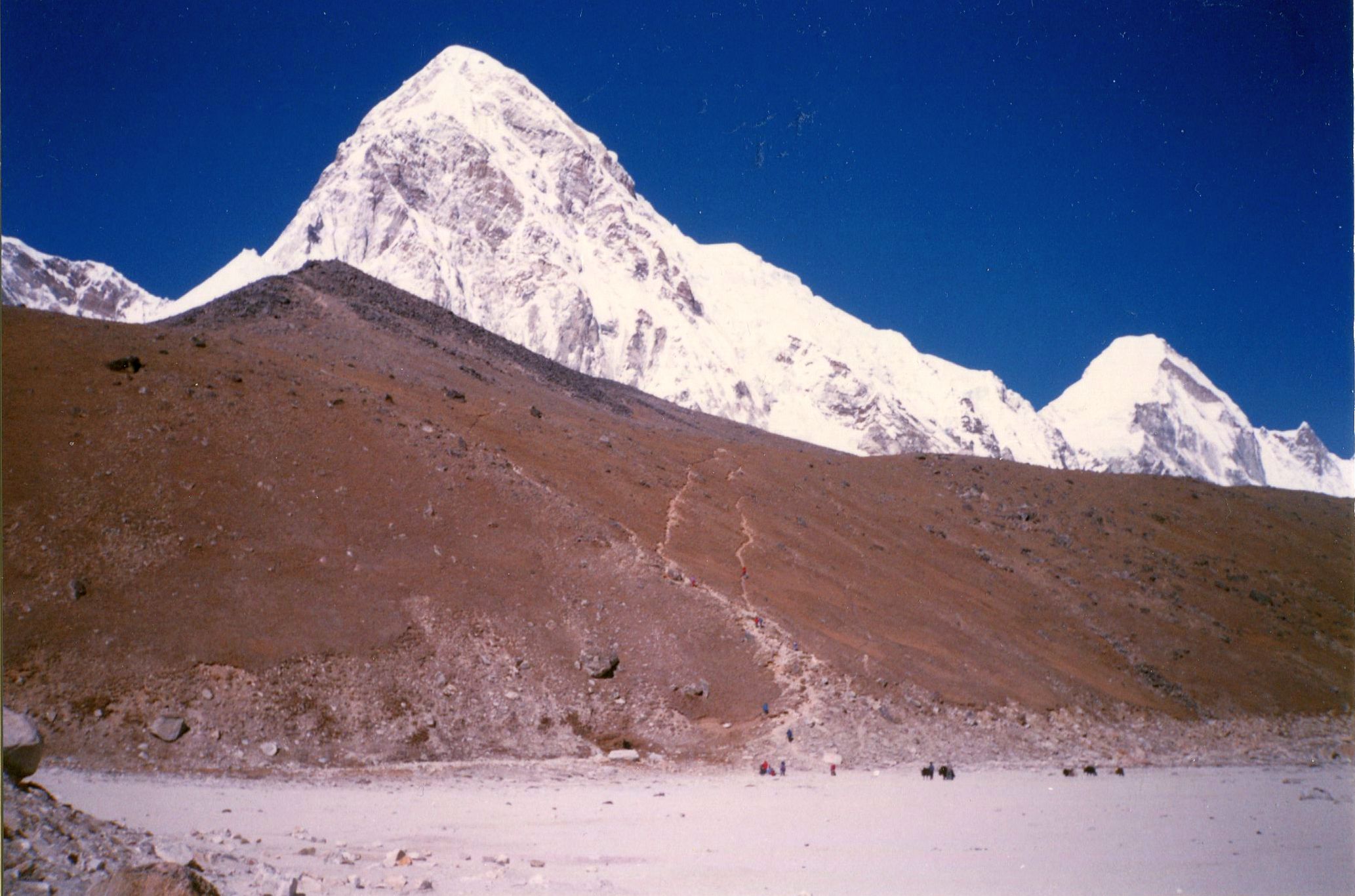 Mount Pumori ( 7161m ) above Kallar Pattar