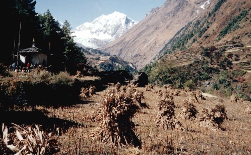 Manaslu Himal from the Buri Gandaki Valley on route from Ngyak to Samagaon