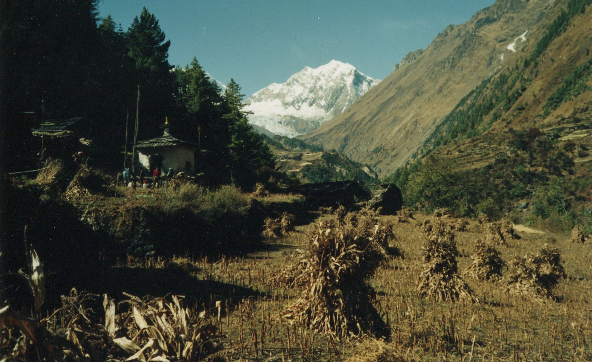 Manaslu Himal from the Buri Gandaki Valley on route from Ngyak to Samagaon
