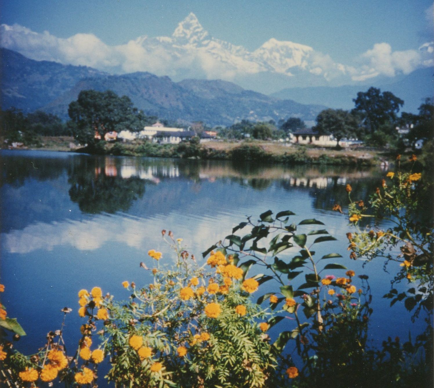 Mount Macchapucchre ( The Fishtail Mountain ) from Phewa Tal at Pokhara in Nepal