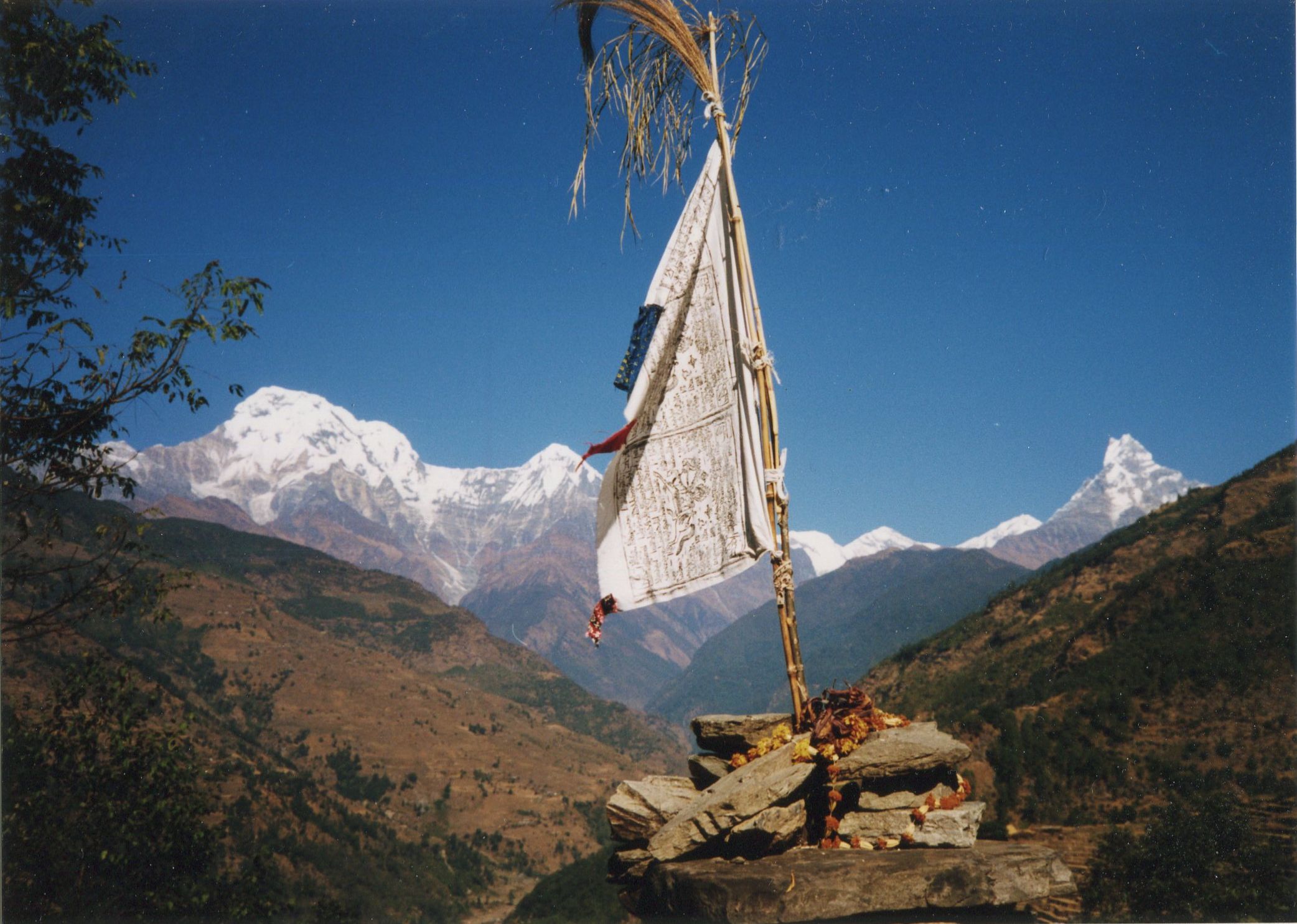 Annapurna South Peak ( 7219m ), Hiunchuli ( 6441m ) and Mount Macchapucchre