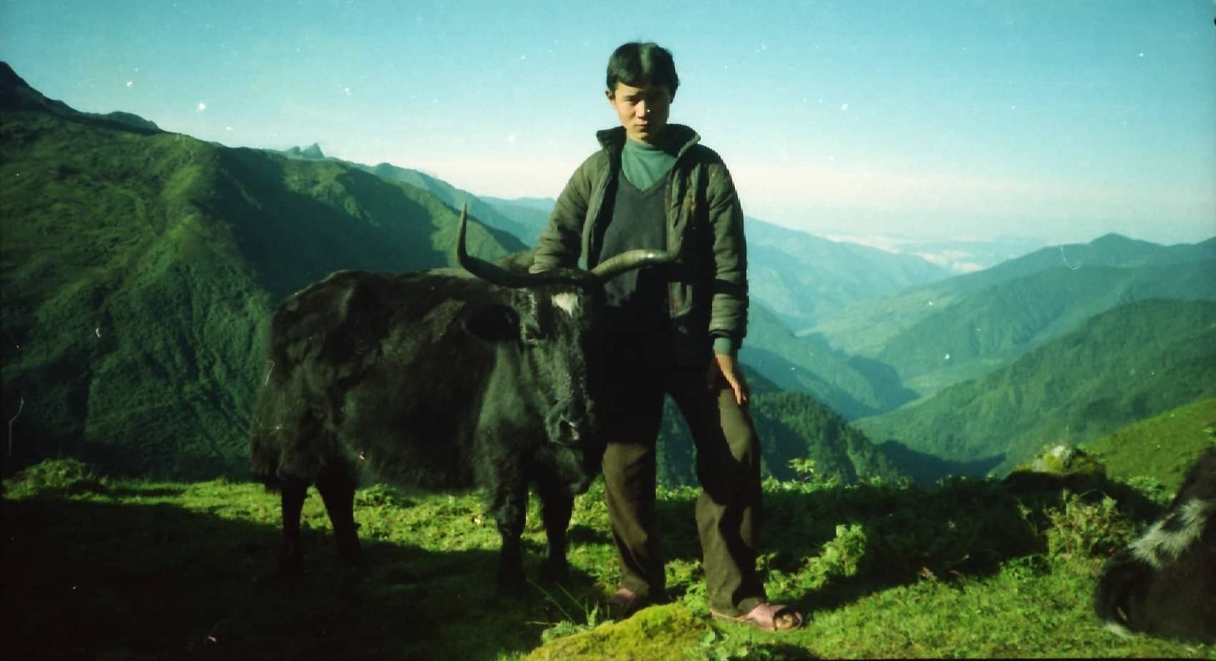 Sherpa boy and yak at Charma
