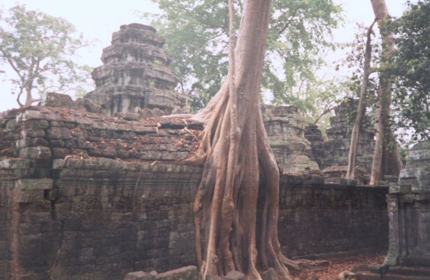 Ta Prohm Temple at Siem Reap in northern Cambodia
