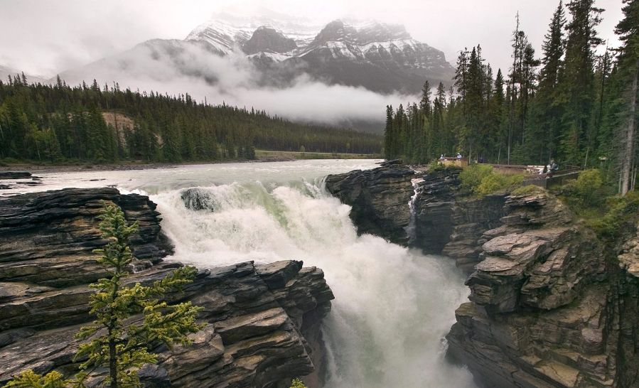Canadian Rockies - Athabasca Falls