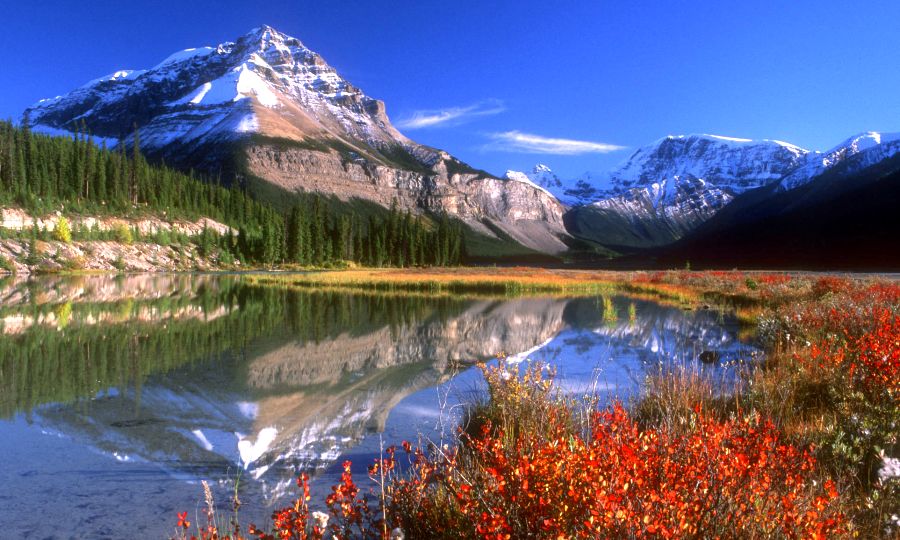 Canadian Rockies - Jasper National Park