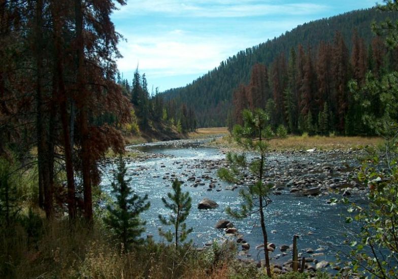 Colorado River in Rocky Mountain National Park