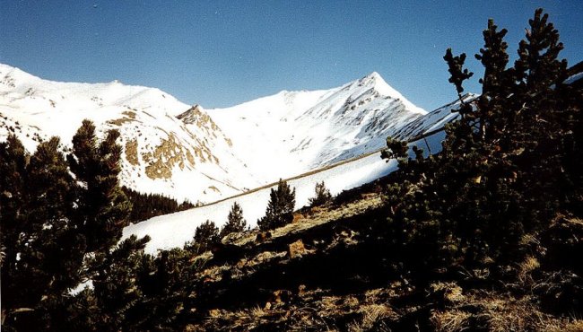 Colorado Rockies at the start of ascent of Mt. Elbert