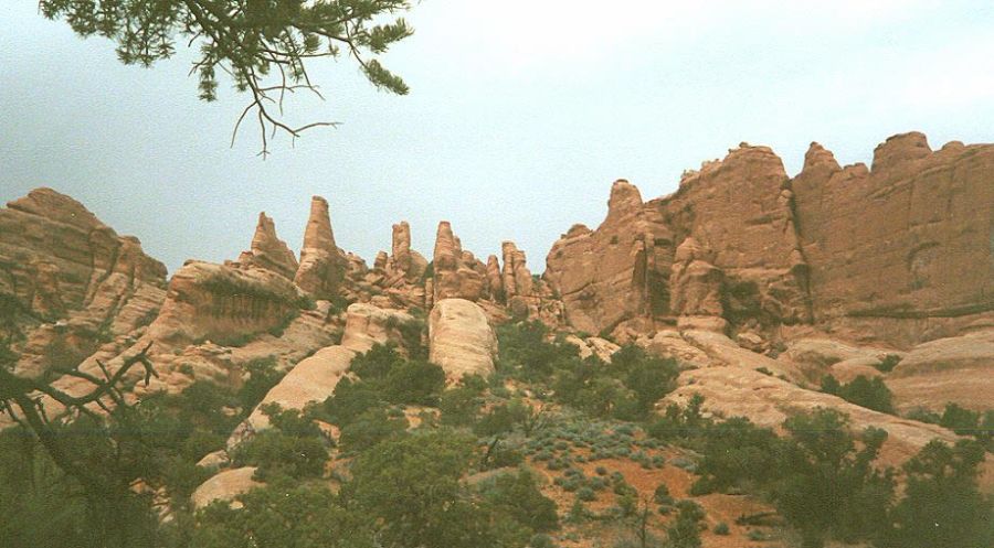 Fin Canyon in Arches National Park