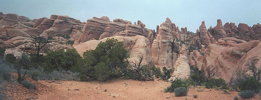 Fin Canyon in Arches National Park