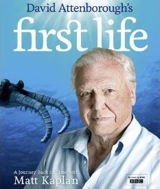 First Life - Evolution of early life on Earth
