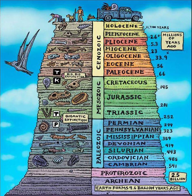 Geology - fossil record