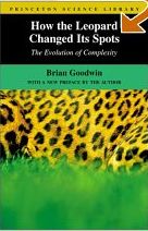 How the Leopard Changed its Spots - Evolution of Complexity