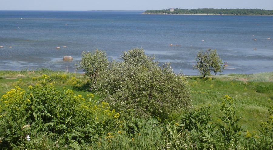 Paljassaare Bay at Kopli