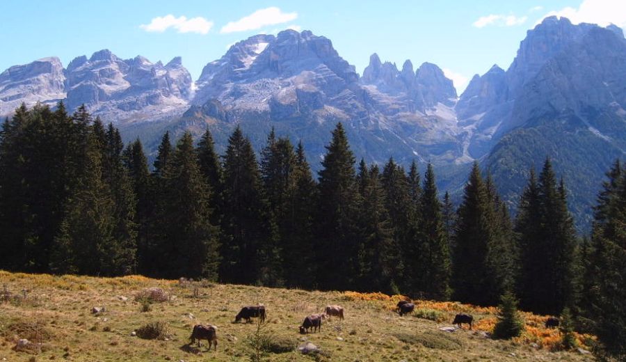 Brenta Group in the Italian Dolomites