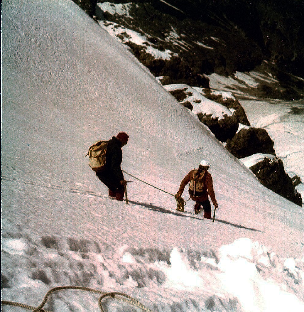 Climbers descending snow slopes from the Ortler in the Italian Alps