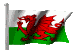 Welsh Dragon Flag