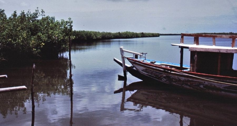 Tanbi Wetland near Banjul