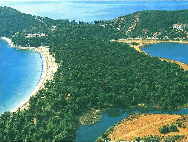 Koukounaries on Skiathos Island in the Sporades Islands of Greece