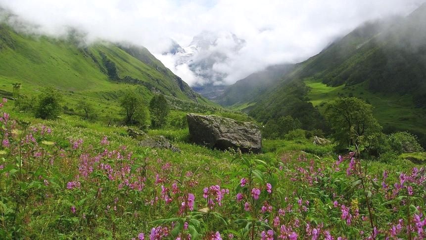 Valley of Flowers in the Indian Himalaya