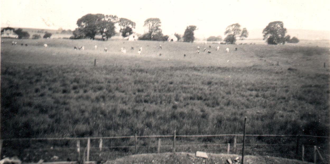 View to rear  ( North ) from North Grange Road in 1956