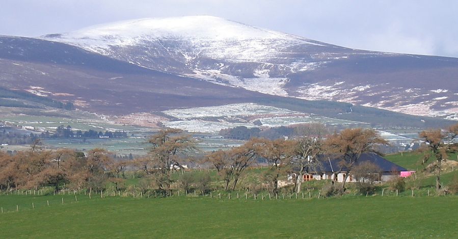 Djouce Mountain in the Wicklow Hills of Ireland