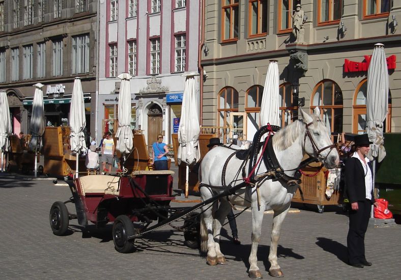 Horse and Buggy in Livu Laukums in Riga