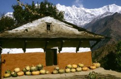 http://www.nepalesehotels.com