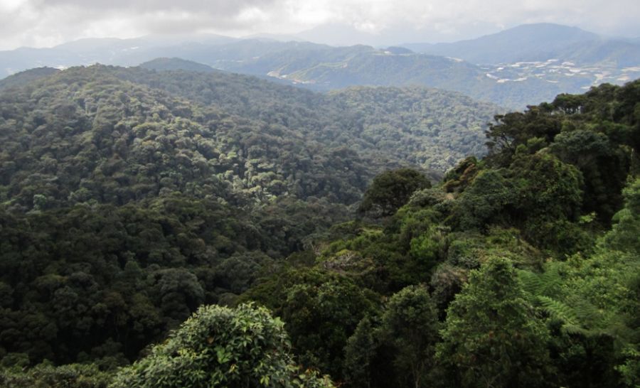 View from Gunung Berembang in Cameron Highlands