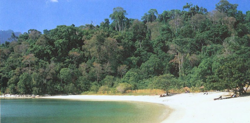 Beach and jungle at Telok Nibong on Langkawi Island