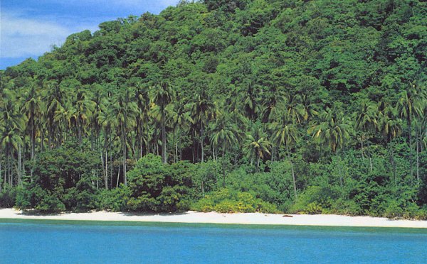 Beach and jungle on Pulau Langkawi