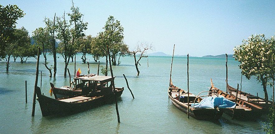 Boats and Mangroves at Kuah on Pulau Langkawi