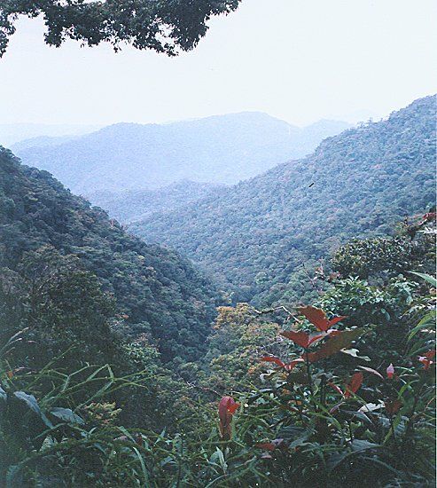 View from Gunung Berembang in Cameron Highlands