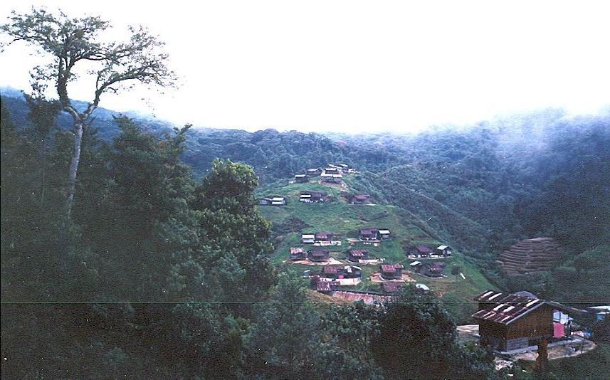 Orang Asli village in the Cameron Highlands