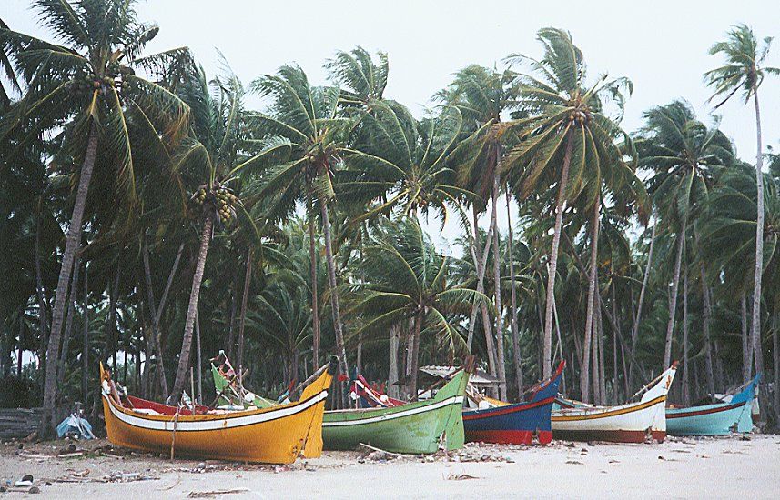 Fishing Boats on beach near Kota Bharu