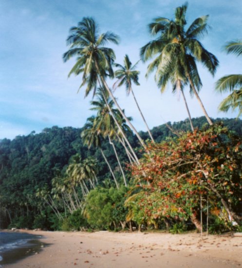 Beach at Tekek Bay on Tioman Island
