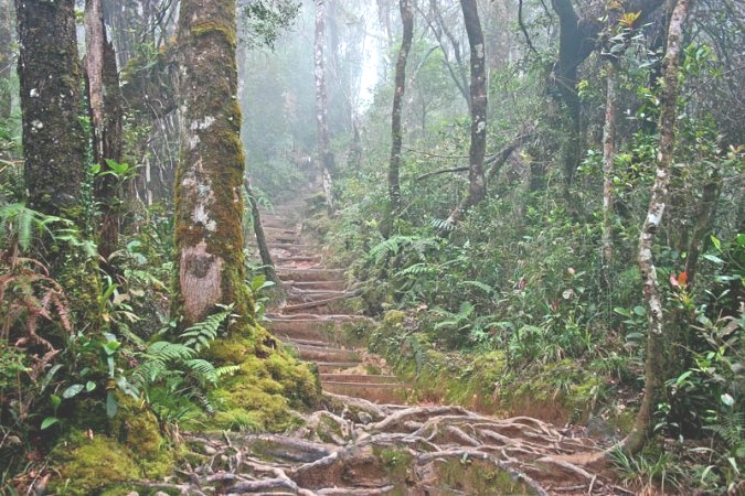 Jungle trail across Tioman Island to Kampung Juara on the East Coast