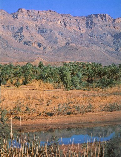 Draa River Valley on route to Zagora in sub-sahara Morocco