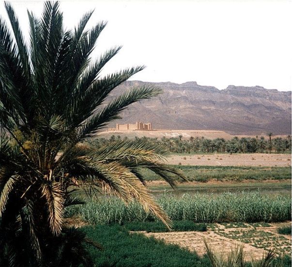 Draa Valley on route to Zagora in the sub-sahara