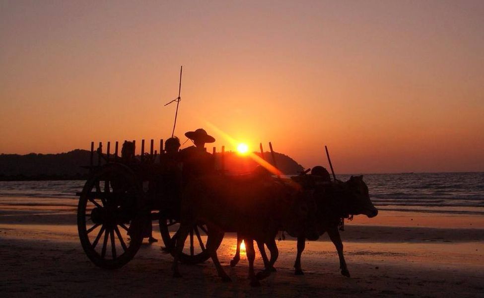 Bullock / Ox Cart on Ngapali Beach at sunset