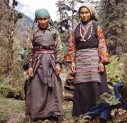 Sherpani Yak Herders