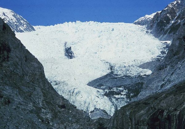 Fox Glacier on the South Island of New Zealand