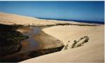 Sand-dunes.jpg